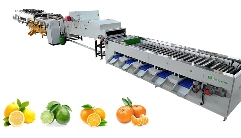 citrus-washing-drying-waxing-grading line.jpg